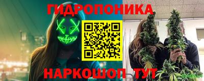 крисы Славянск-на-Кубани