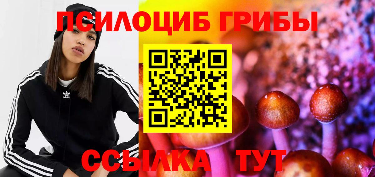 Галлюциногенные грибы Psilocybe  Вход с VPN  Новокубанск 